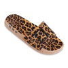 Slipper 161 Palangi Manapa Women colors