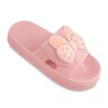 Slipper Papion Parsi Women colors