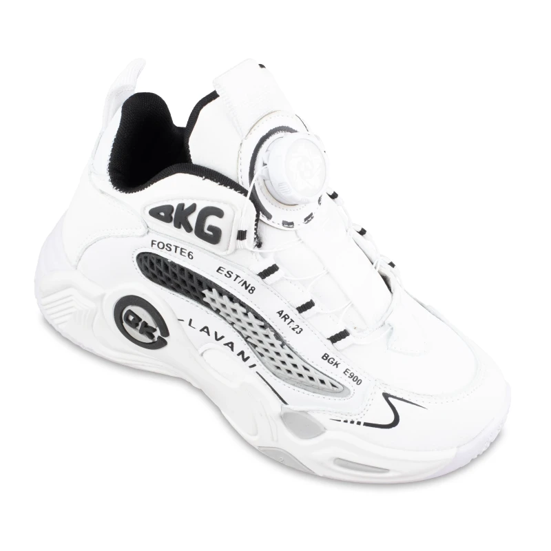 sneaker-bkg-lavani